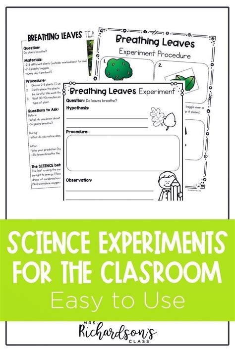 Image result for First Grade Science Experiments