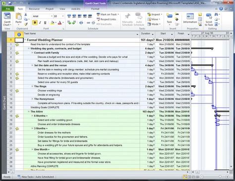 Microsoft Project Gantt Chart Tool
