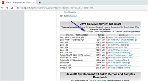 Configure Java App 的图像结果
