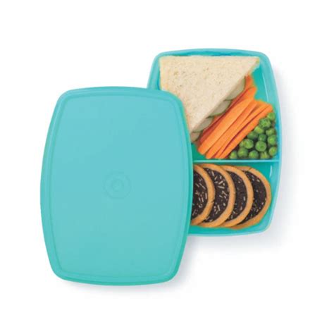 Tupperware Slim Divided Lunch Container - Individual Meal Organization ...