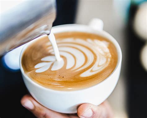 Image result for Himalayan Java Coffee