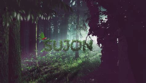 TyFlow Animation 的图像结果