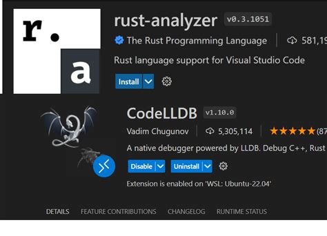 Image result for Environment Variable Rust Desk