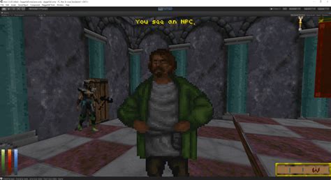 Image result for Daggerfall NPCs