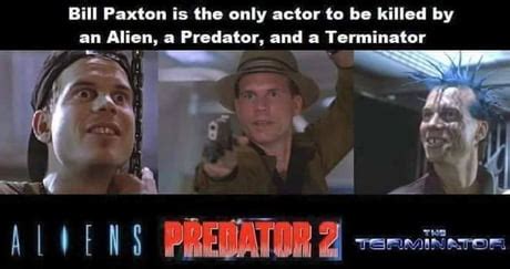 Image result for Alien vs Predator Meme