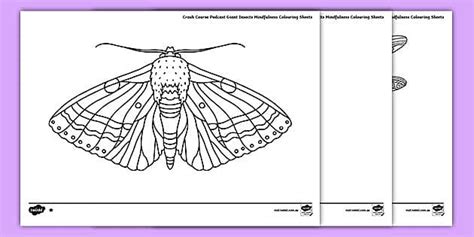 Crash Course Podcast Giant Insects Mindfulness Colour Sheets