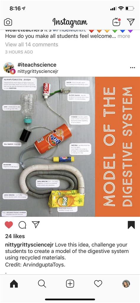 Digestive System Creative Model Making Using Food or Waste Materials 的图像结果