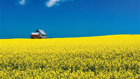 Reel to Real: Surreal Destinations featured in Iconic Bollywood Songs