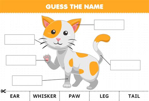 Education game for children guess the name of cute cartoon cat body ...