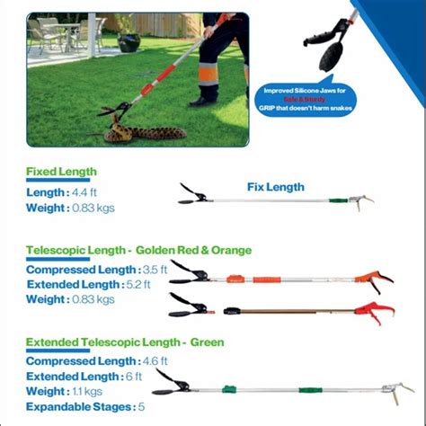 Image result for Snake Catching Adders