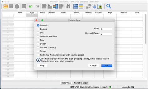 Image result for Typing R Code in SPSS