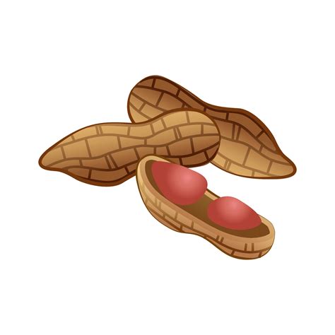Peanut Clip Art