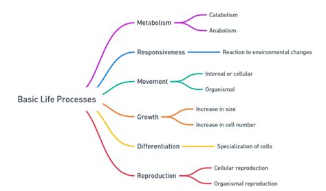 Image result for Basic Life Process