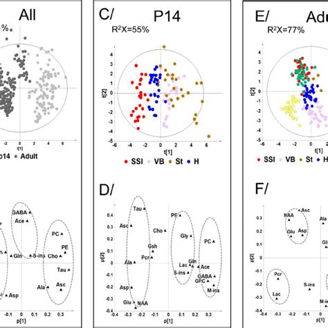 Plot Sus 的图像结果