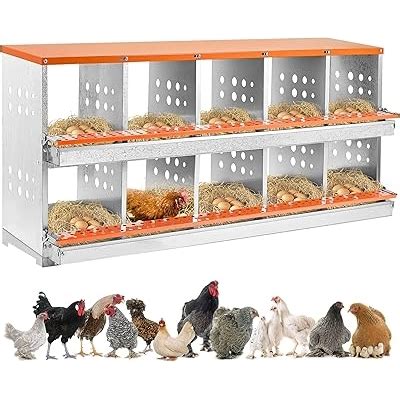 Homiesetify Chicken Nesting Box, 10 Hole Nesting Boxes for India | Ubuy
