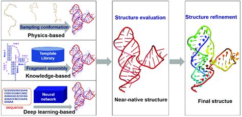 Image result for RNA Structure and Function