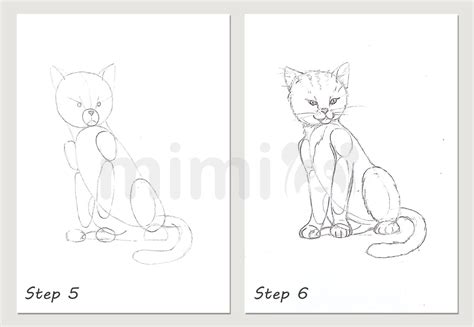 Image result for Cat Drawing Tutorial