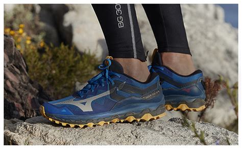 Running Modelos 的图像结果