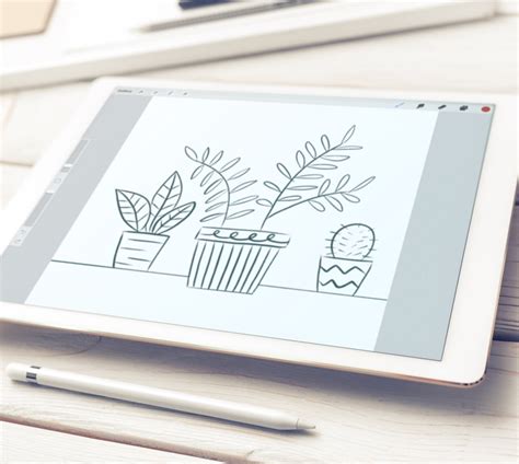 How to Use Procreate App 的图像结果
