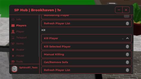 Jjsploit Brookhaven Script 的图像结果