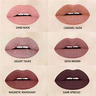Image result for Brown Lipstick Shade Lip