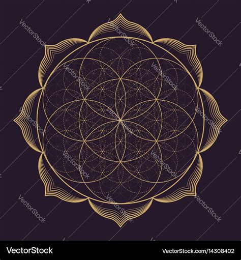 Image result for Mandala Color Patterns