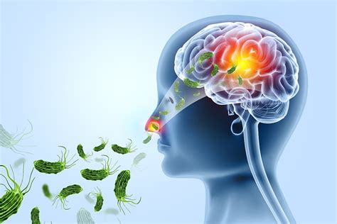 Kerala Health Crisis: Brain-Eating Amoeba Threatens Protesters' Safety