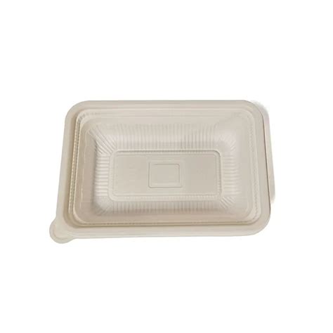 PLA Biodegradable Plastic Disposable Takeaway Square Lunch Box - GTM Smart