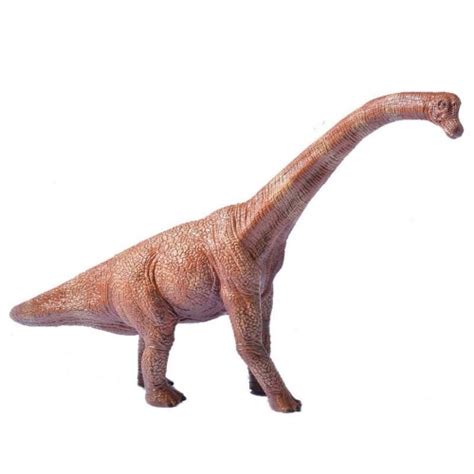 Promo Brachiosaurus Brontosaurus Figure Dinosaurus Model Simulasi Dino ...