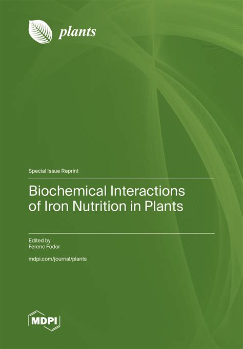 Biochemical Interactions of Iron Nutrition in Plants | MDPI Books