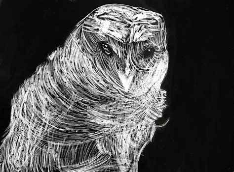 Image result for Scratch Art Examples