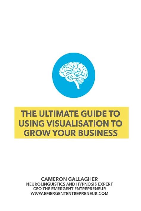 The Ultimate Guide To Visualisation In Business eBook : Gallagher ...
