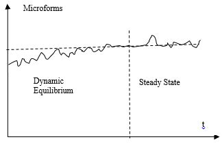 Image result for Dynamic Equilibrium State