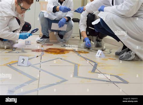 Forensic Science 的图像结果