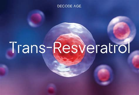 Trans-Resveratrol The Top Supplement for Enhancing Stem Cell Function