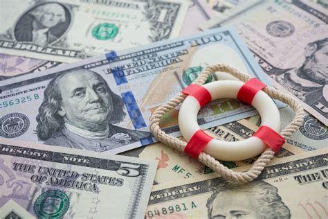 Payment Protection Programme Application 的图像结果