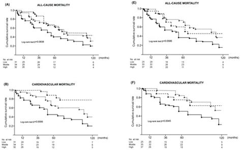 Impact of Arterial Calcification of the Lower Limbs on Long-Term ...