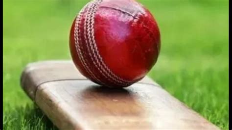 Former Indian cricketer put on ventilator support