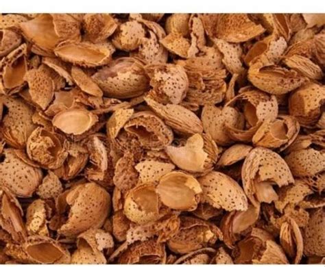 Dry Almond Shell Manufacturer from Jaipur