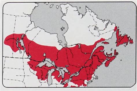 Canada 的图像结果