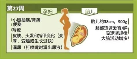 试纸怀孕多久能测出来 使用方法-京东健康