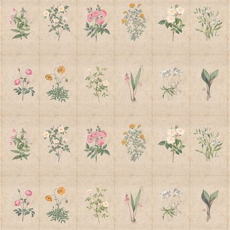 Mehek, Botanical Theme Room Wallpaper | Life n Colors