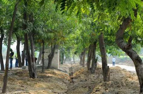 Environment needs to be protected while carrying out developmental ...