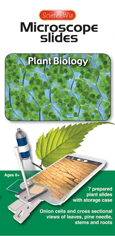 Plant Cell Microscope Slides 的图像结果