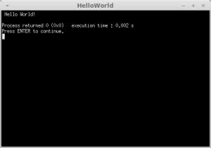 Code: Blocks for Linux 的图像结果