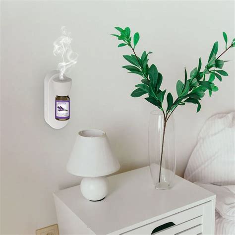 Image result for Fragrance Diffuser