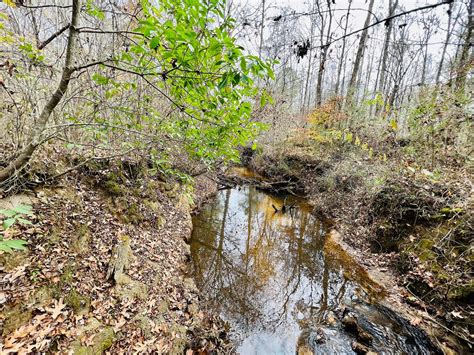 Hazzard Branch Tract, +/-71. acres, CR 982, Iuka, Tishomingo Co., MS 38852