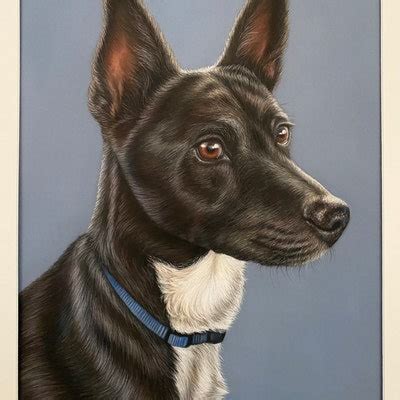 Image result for Hand Drawn Cockapoo