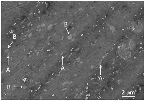 Mechanical Characterization of Graphene Nanoplatelets-Reinforced Mg-3Sn ...