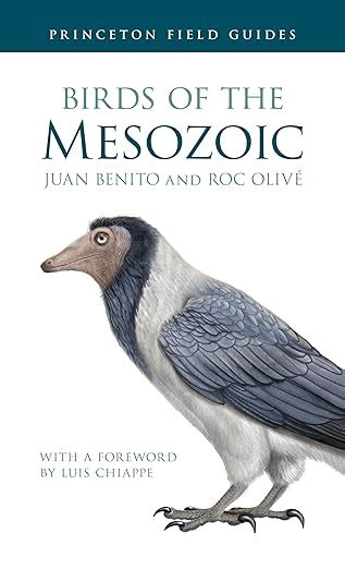 Birds of the Mesozoic : Benito, Juan, Oliv, Roc, Chiappe, Luis: Amazon ...